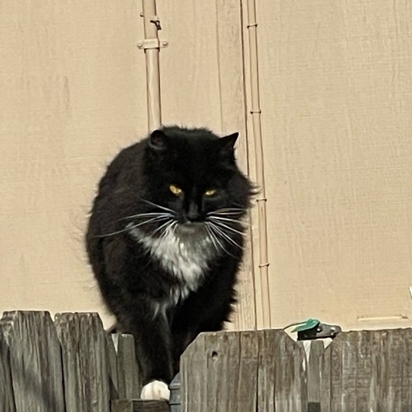 Meet your Posher, Michelle - Picture 2 of 5